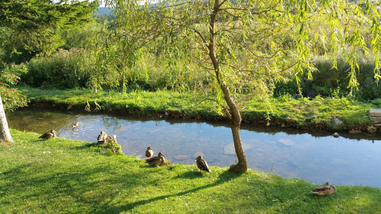 Rustic Inn River Prijeboj Exterior foto